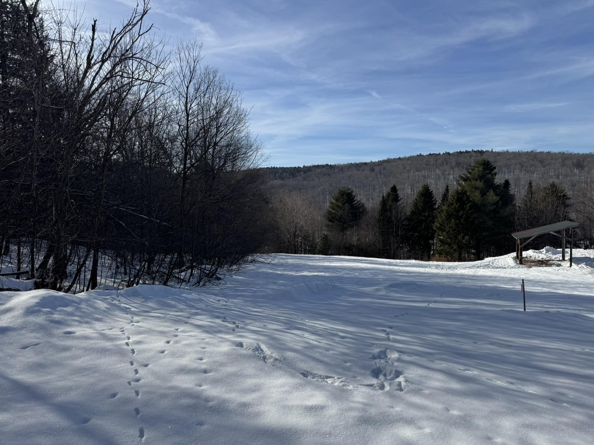 0 Hillside Drive Unit: Lot 46