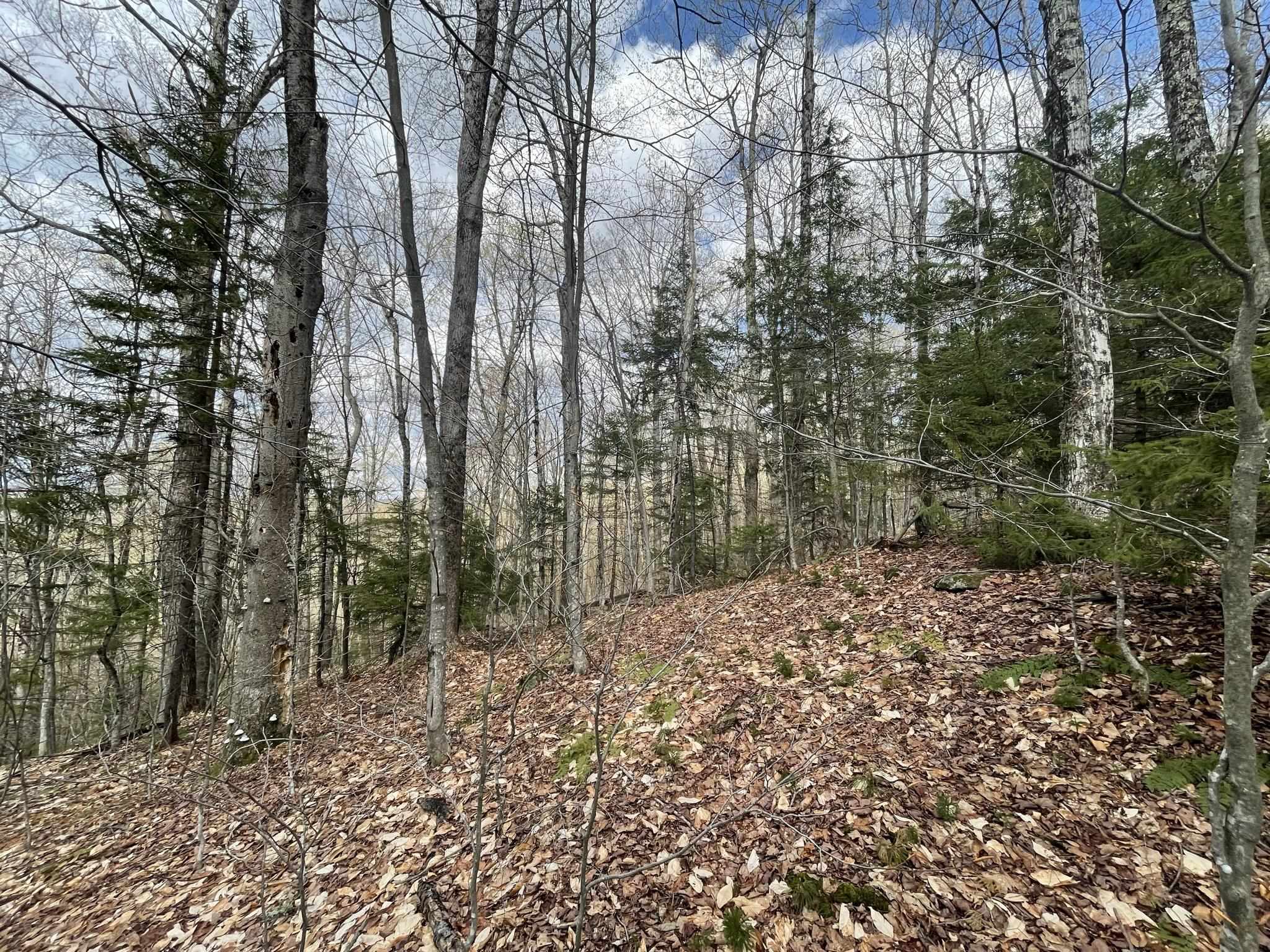 0 Hillside Drive Unit: Lot 46