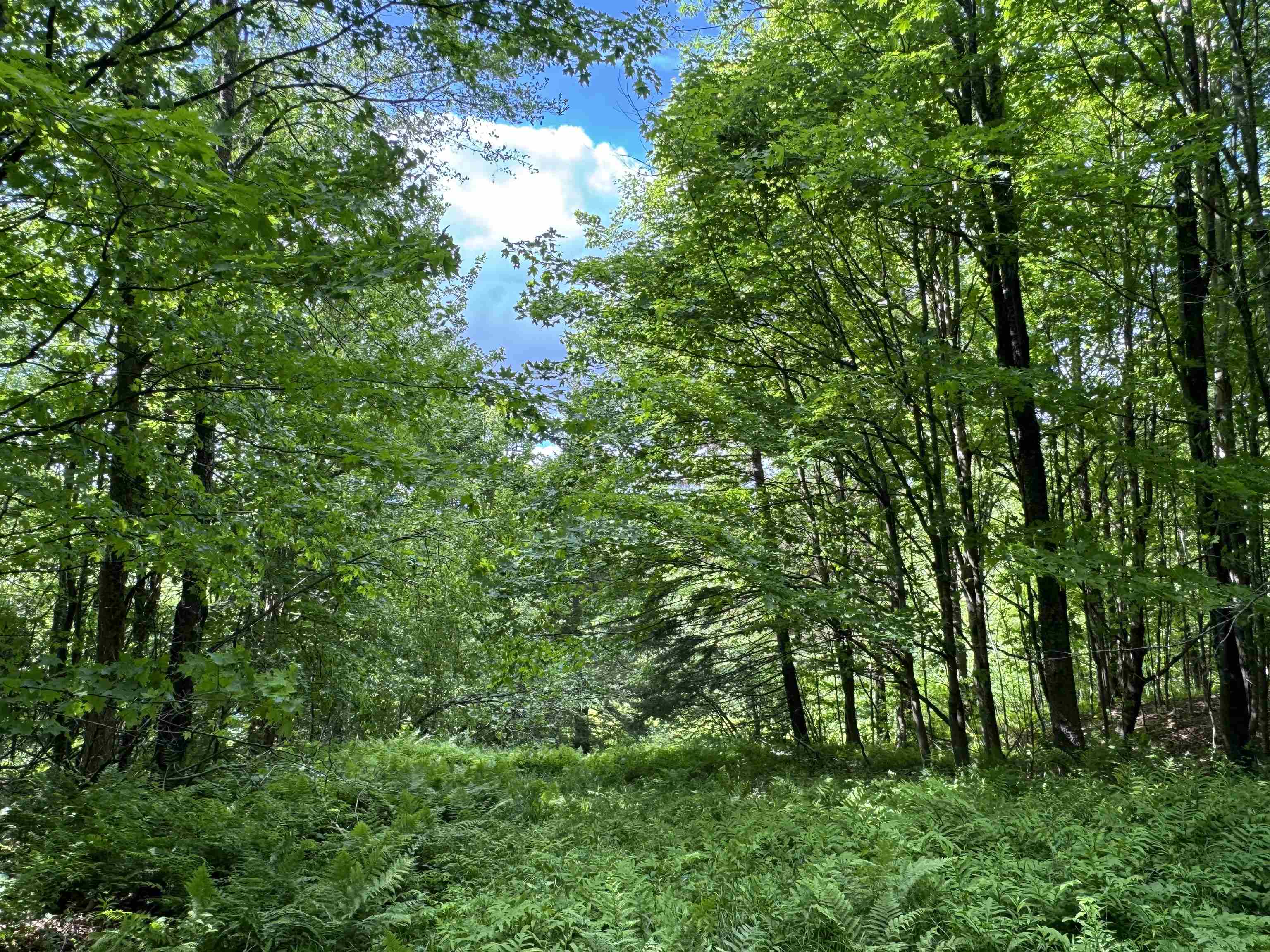 0 Hillside Drive Unit: Lot 46