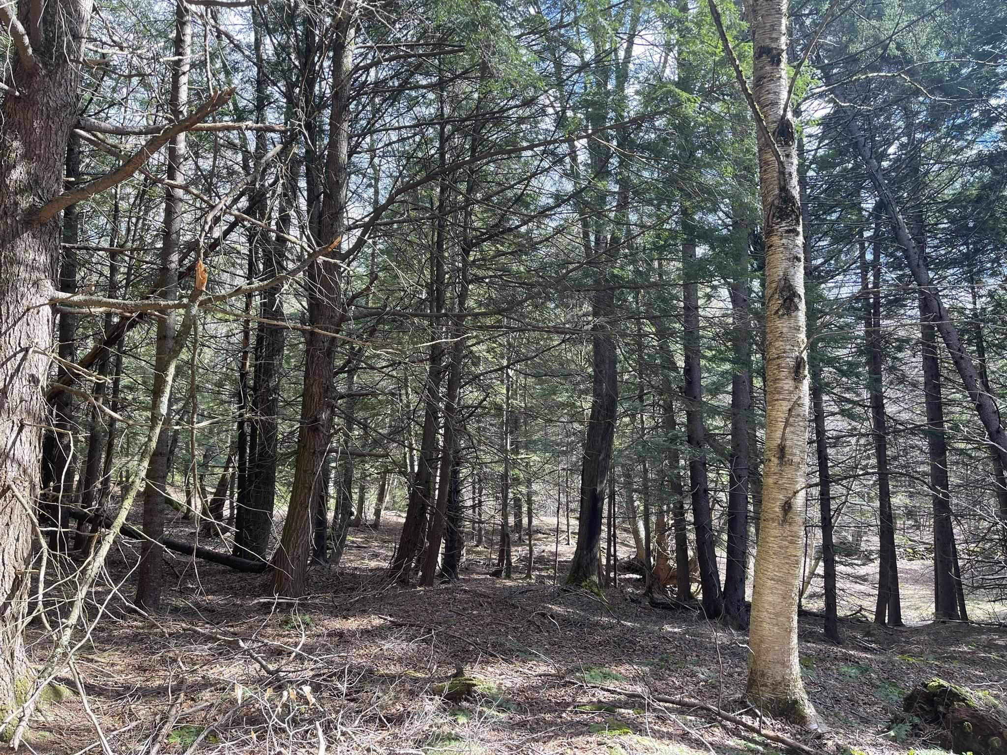 0 Hillside Drive Unit: Lot 46