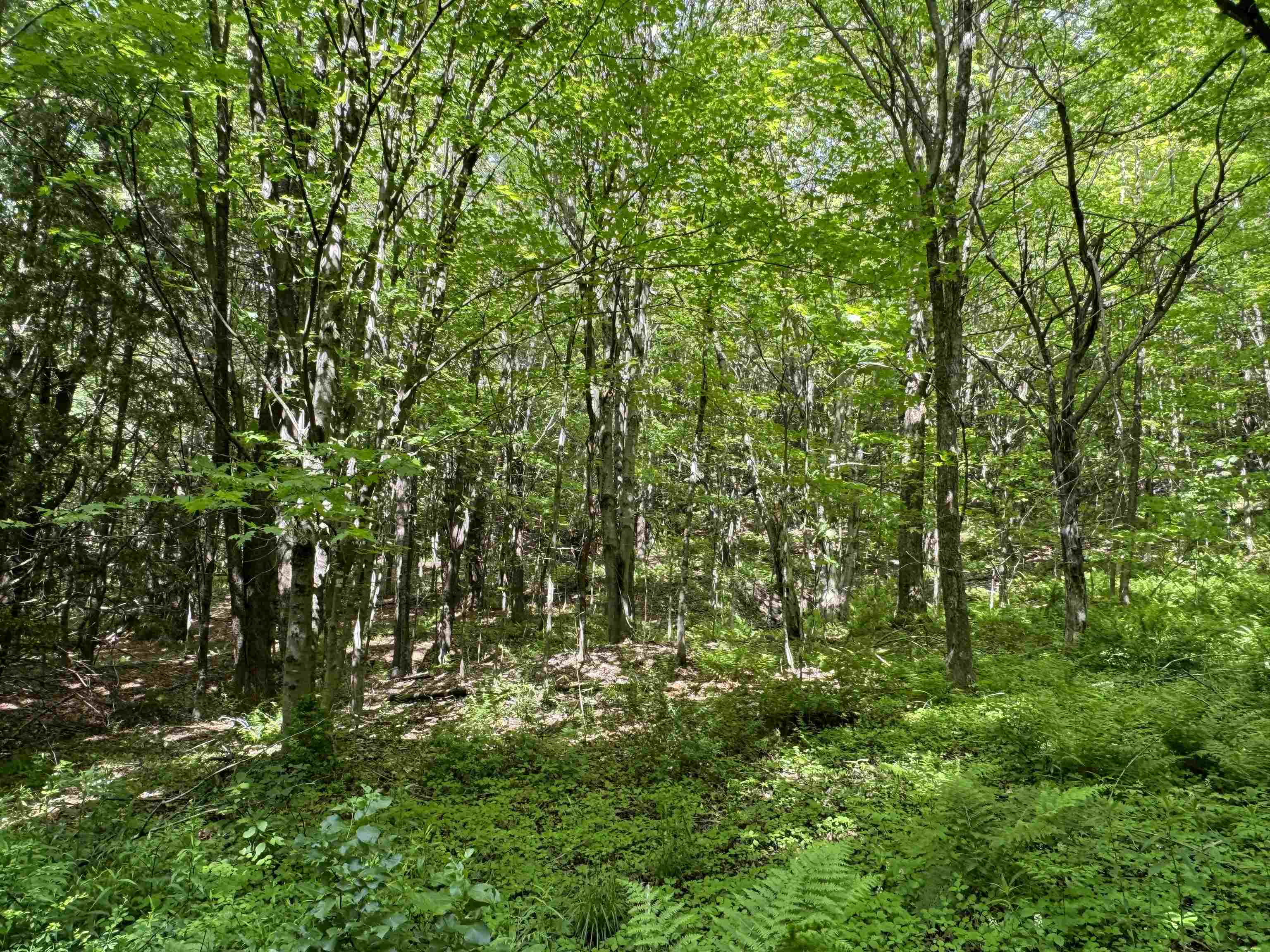 0 Hillside Drive Unit: Lot 46