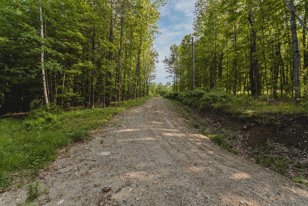 230 Wilson Hill Rd