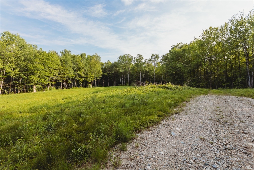 230 Wilson Hill Rd