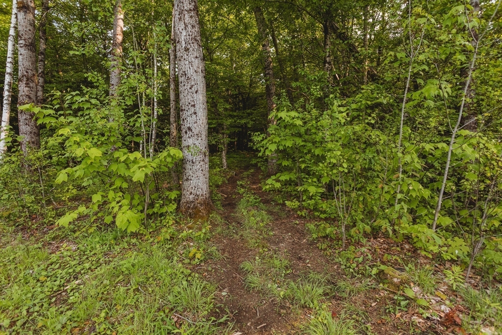 230 Wilson Hill Rd