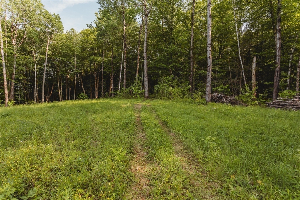 230 Wilson Hill Rd