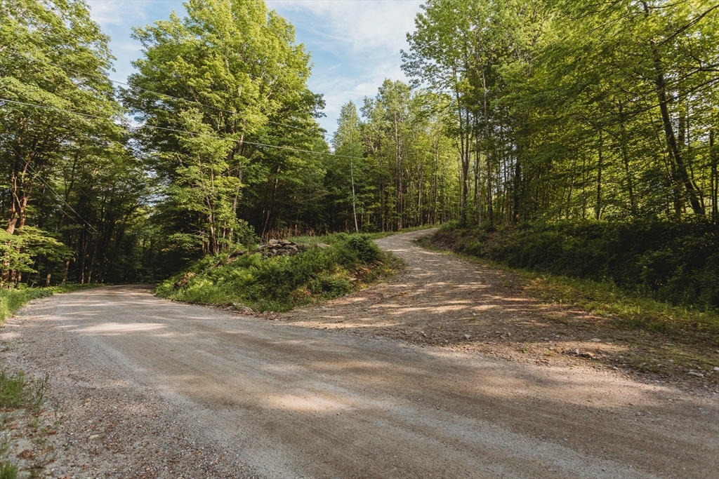 230 Wilson Hill Rd