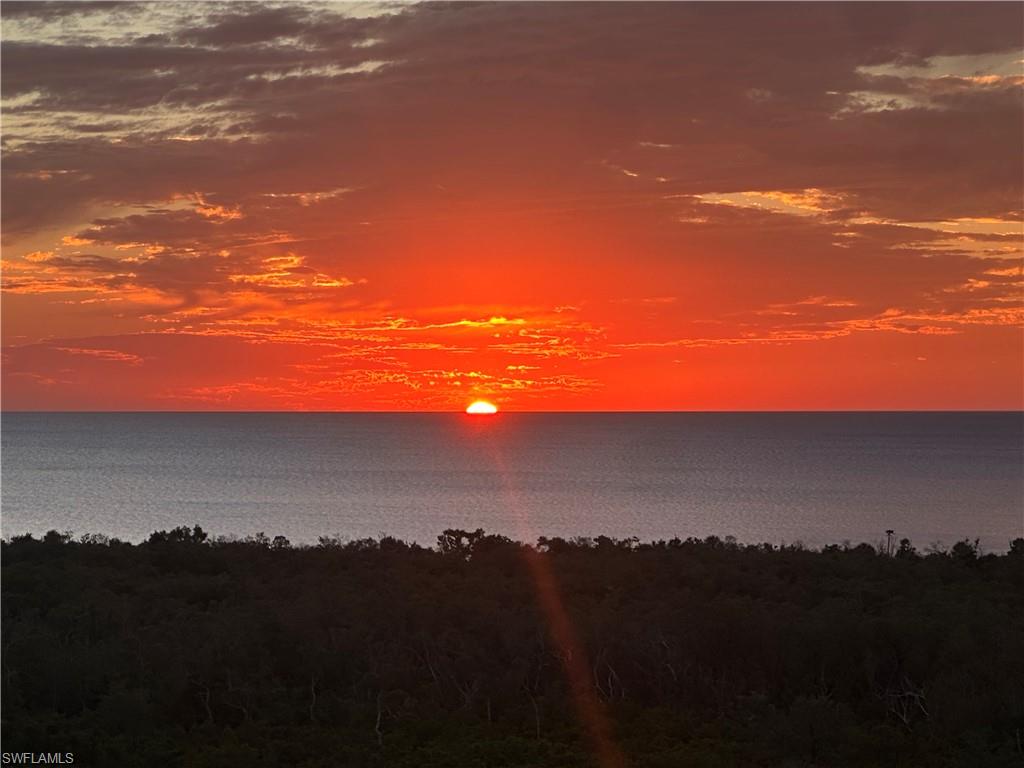 6585 Nicholas BLVD # 1102