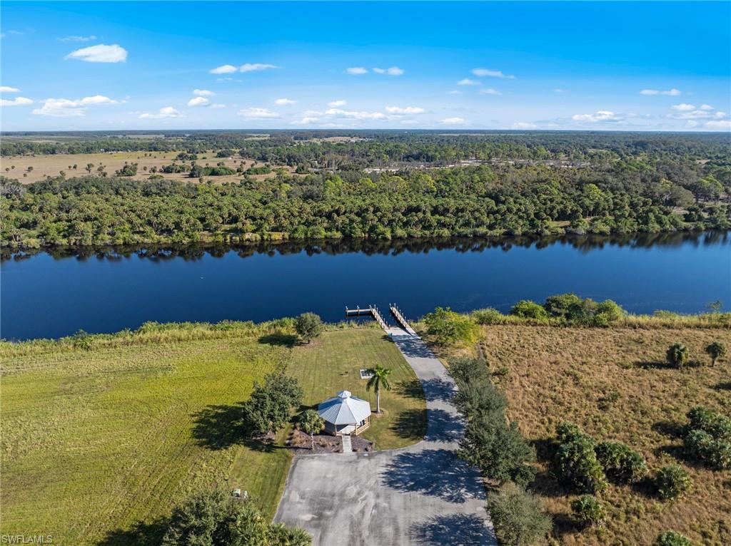 22821 Yellow Button LN