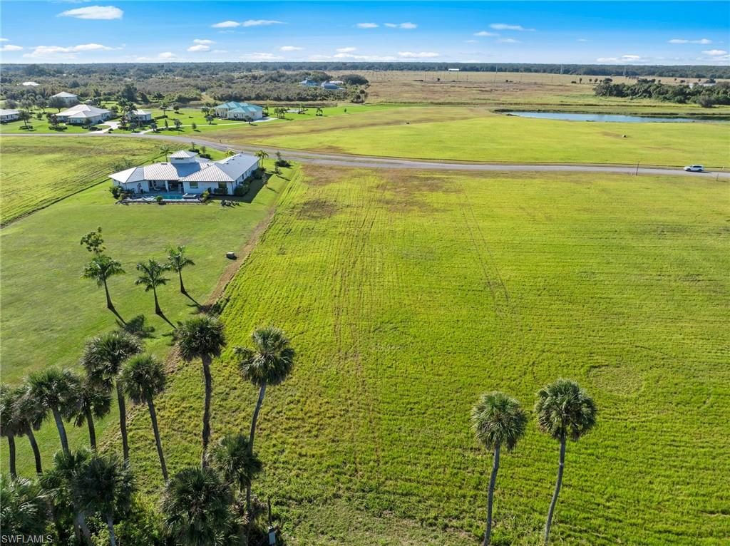 22821 Yellow Button LN