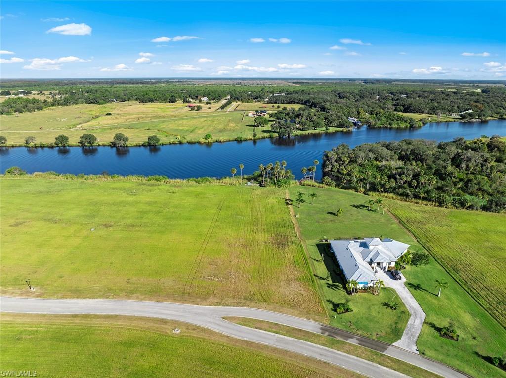 22821 Yellow Button LN