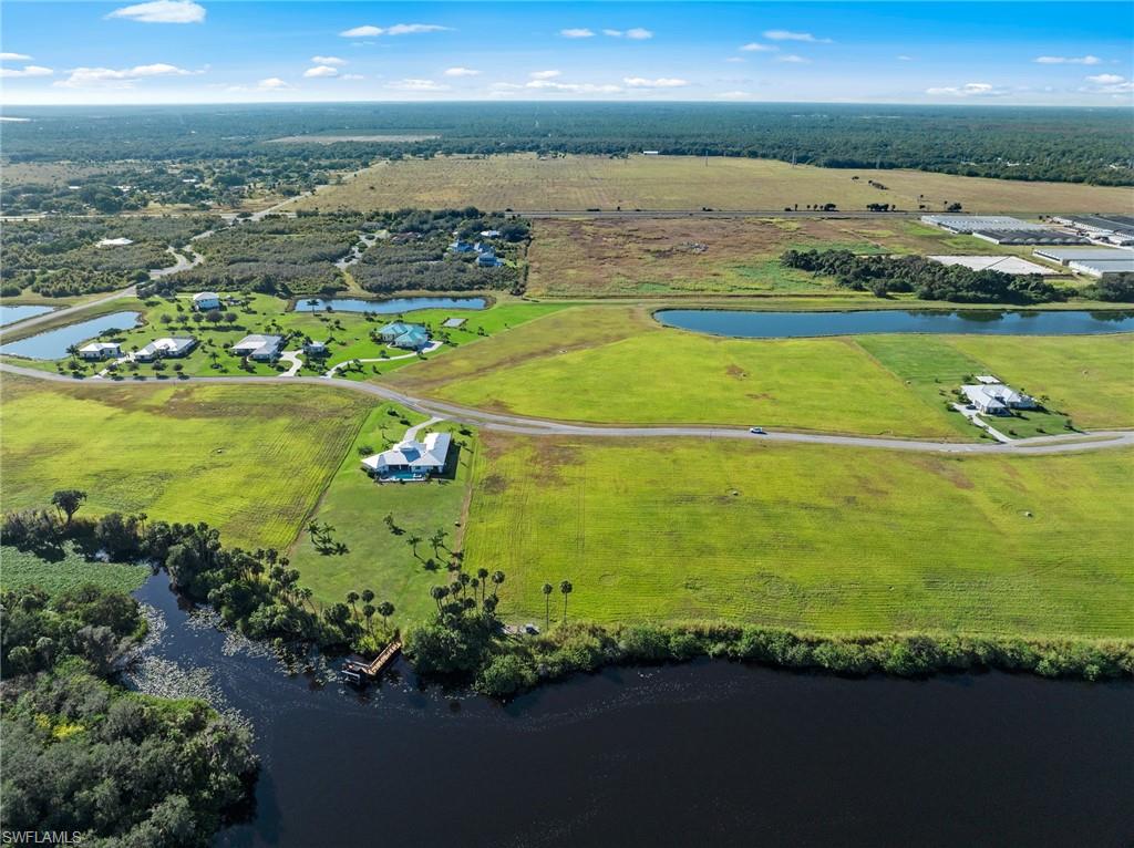 22821 Yellow Button LN