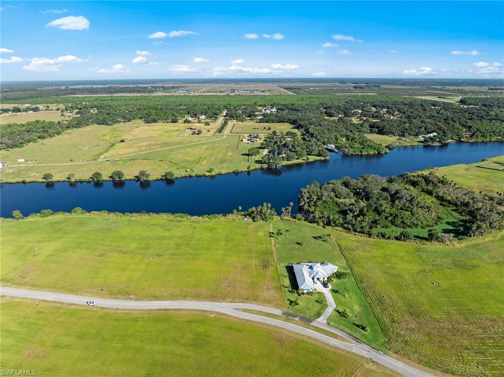 22821 Yellow Button LN