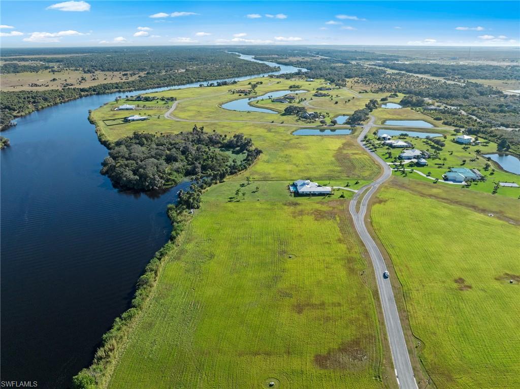 22821 Yellow Button LN