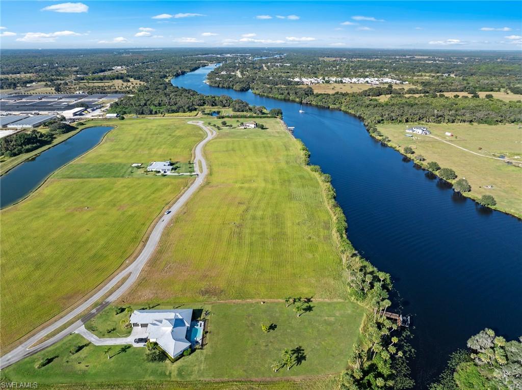 22821 Yellow Button LN