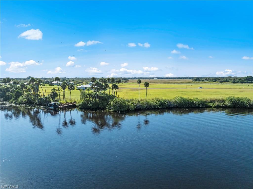 22821 Yellow Button LN