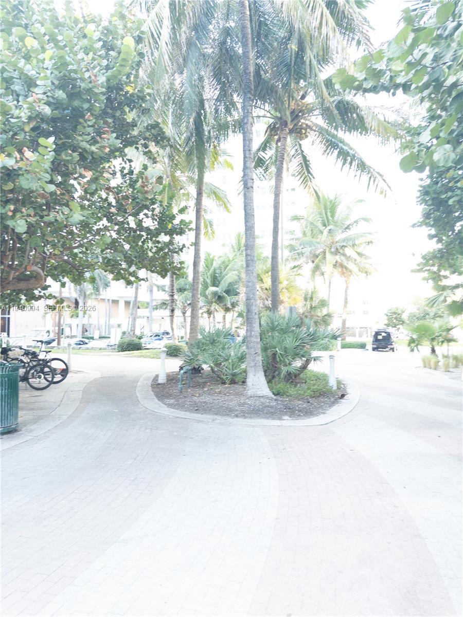 2899 Collins Ave # 723