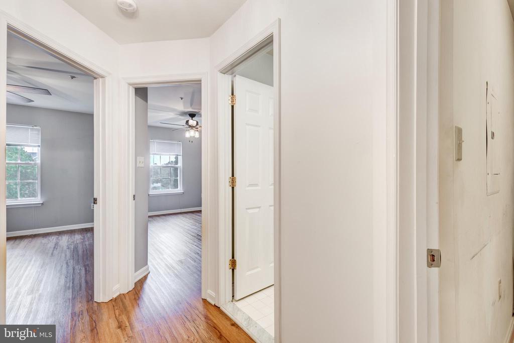 313 3 SIRENS COURT