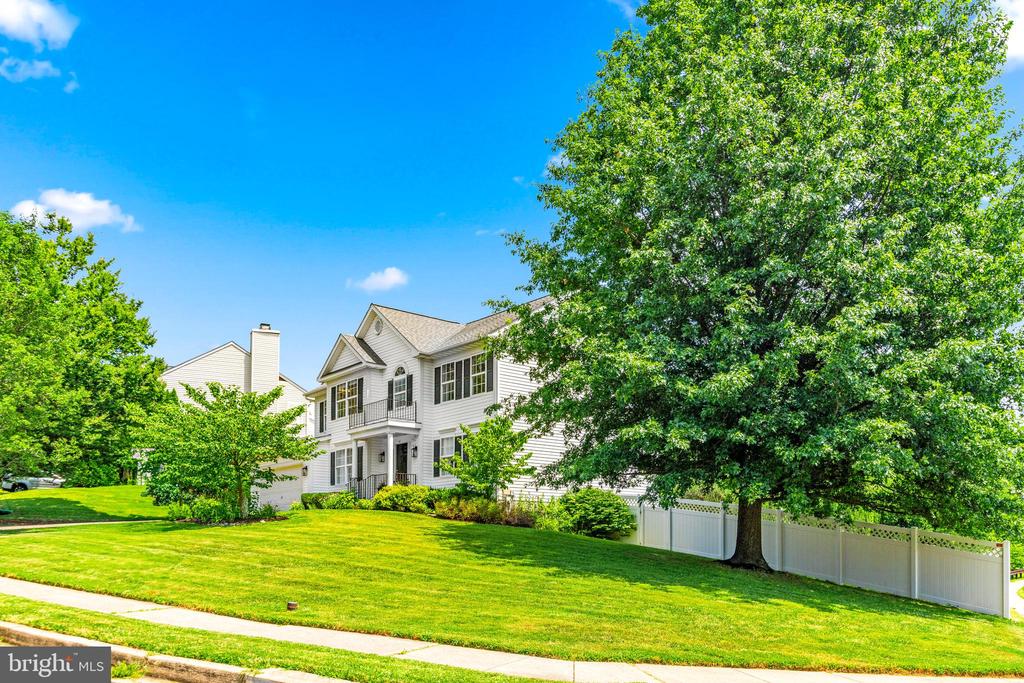 41 WENTWORTH COURT