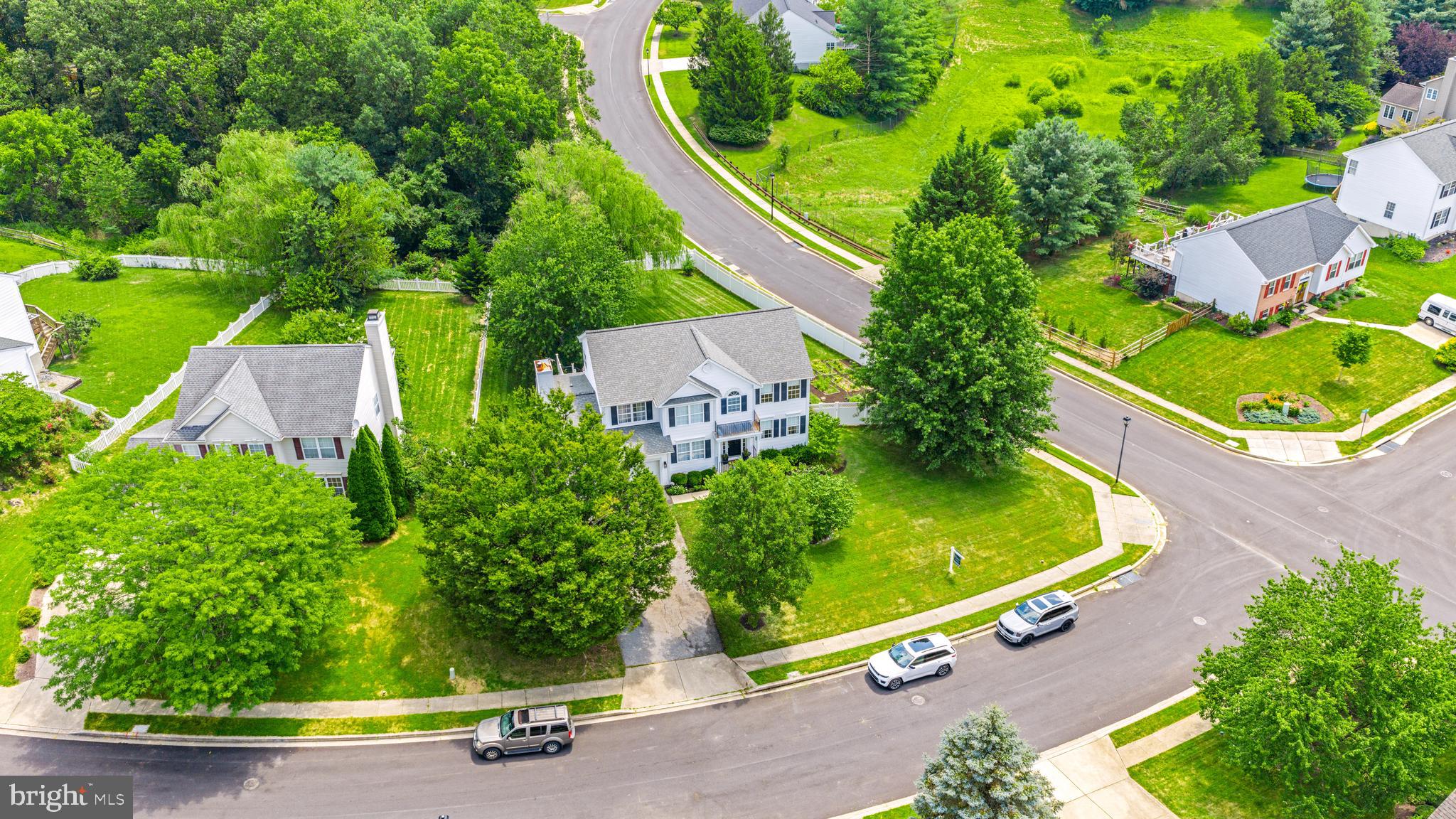41 WENTWORTH COURT