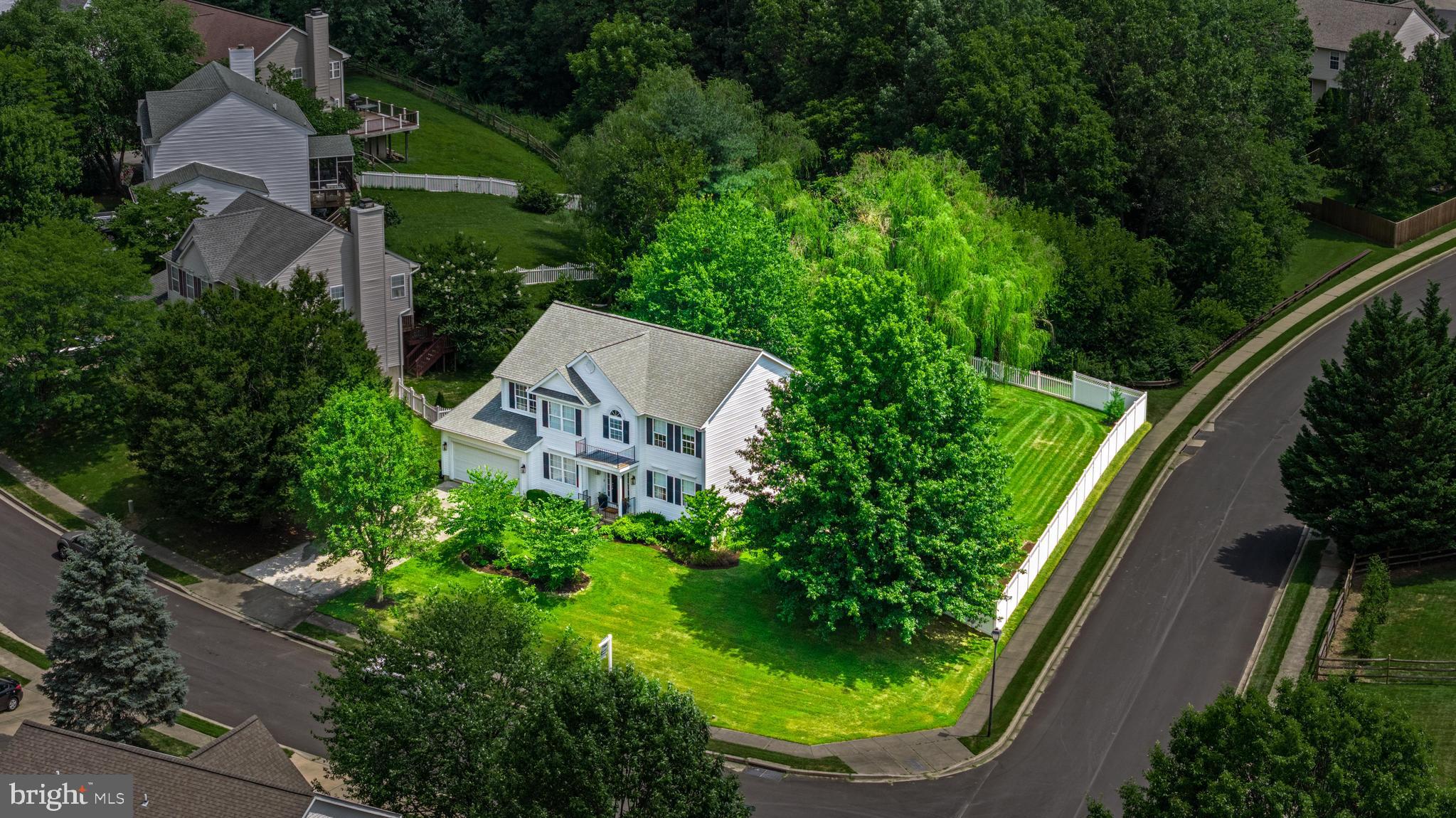 41 WENTWORTH COURT
