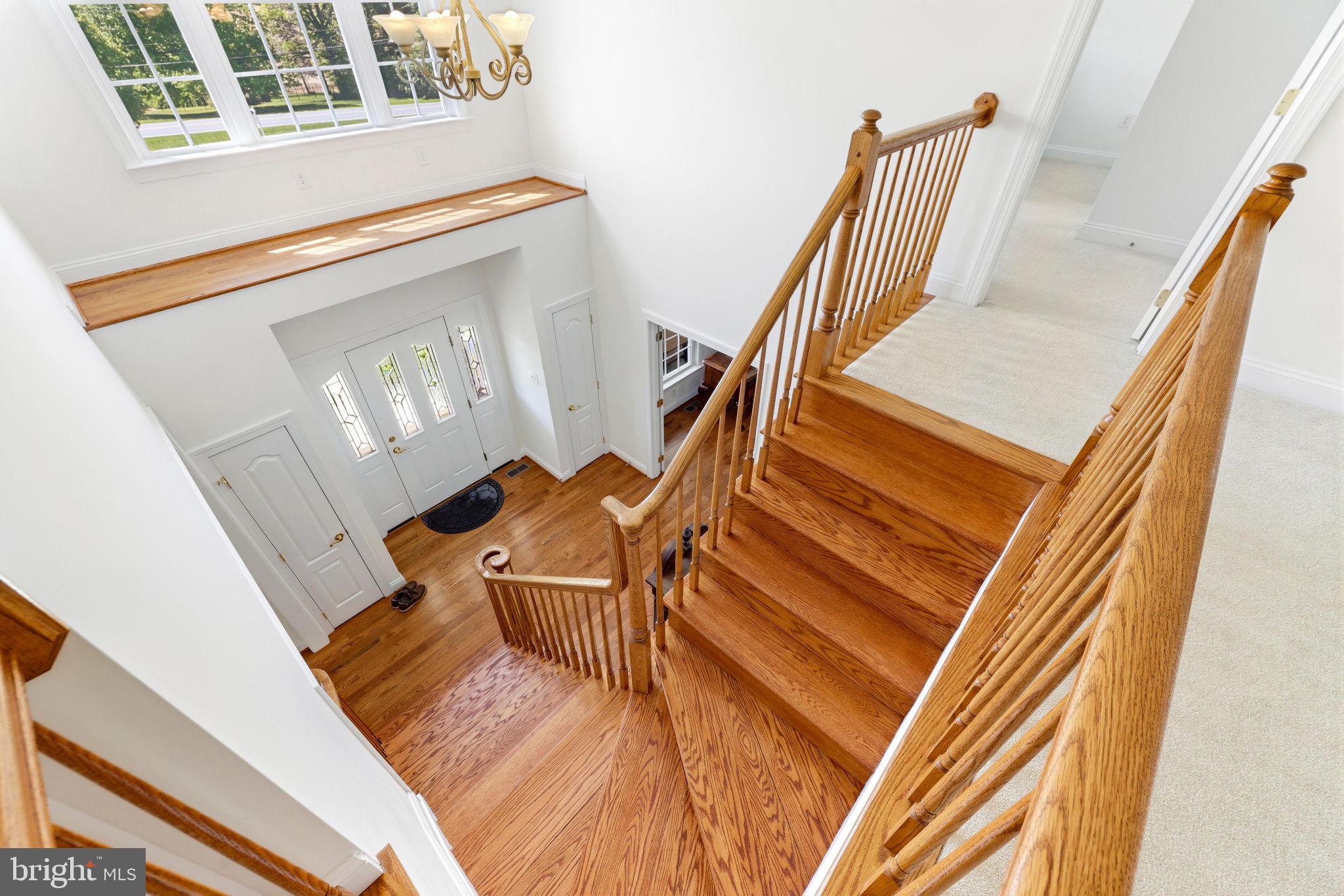 425 CHINQUAPIN DRIVE