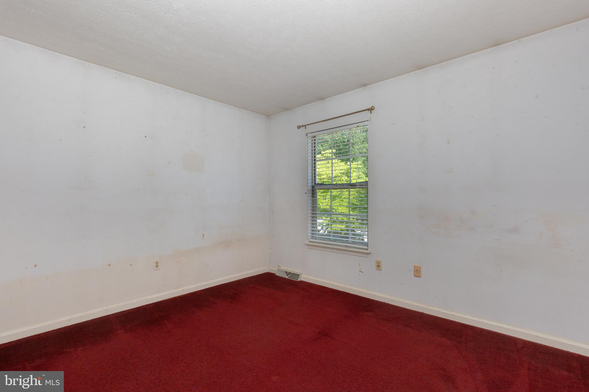 909 BLACK SPRUCE LANE