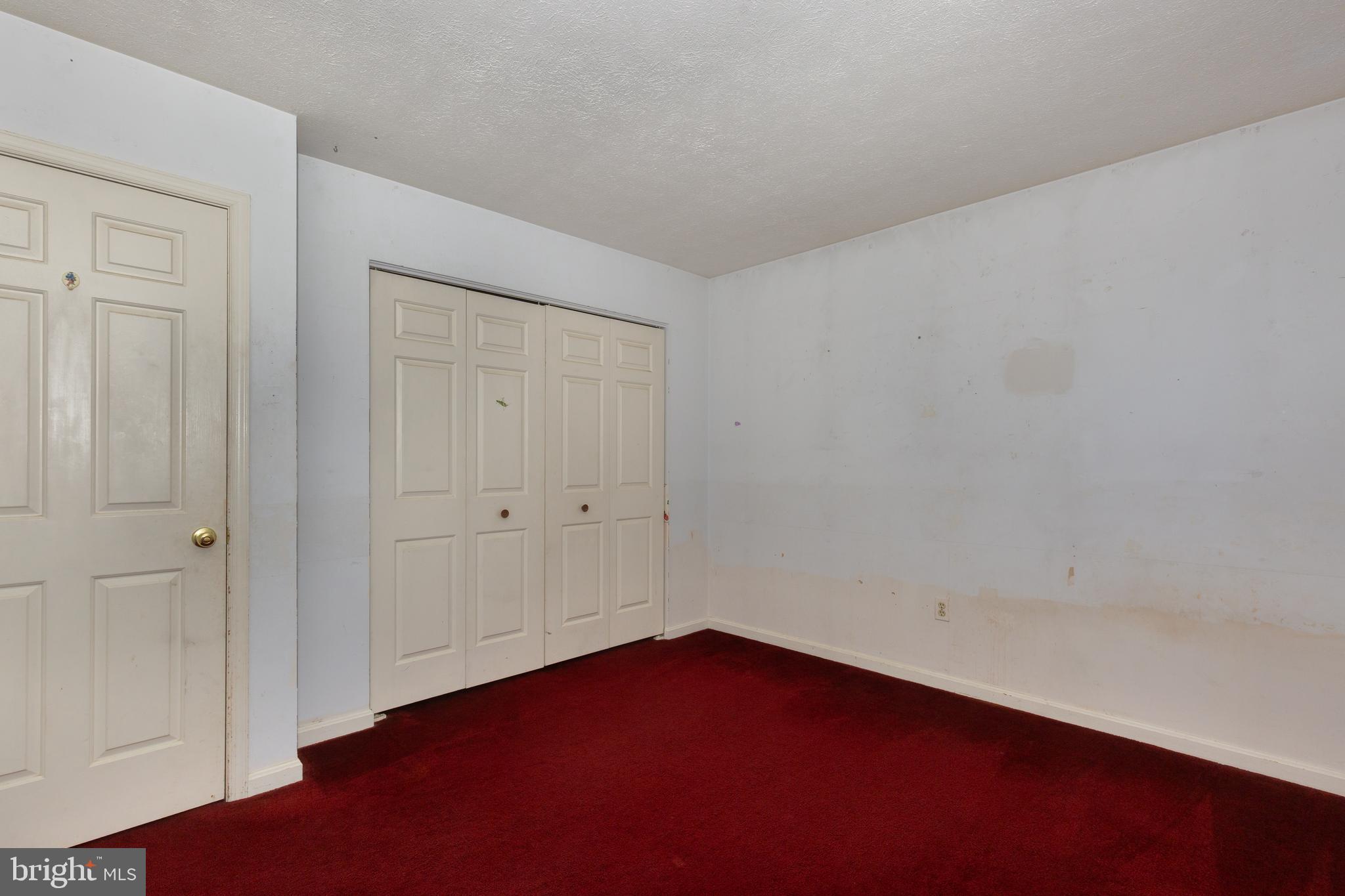 909 BLACK SPRUCE LANE