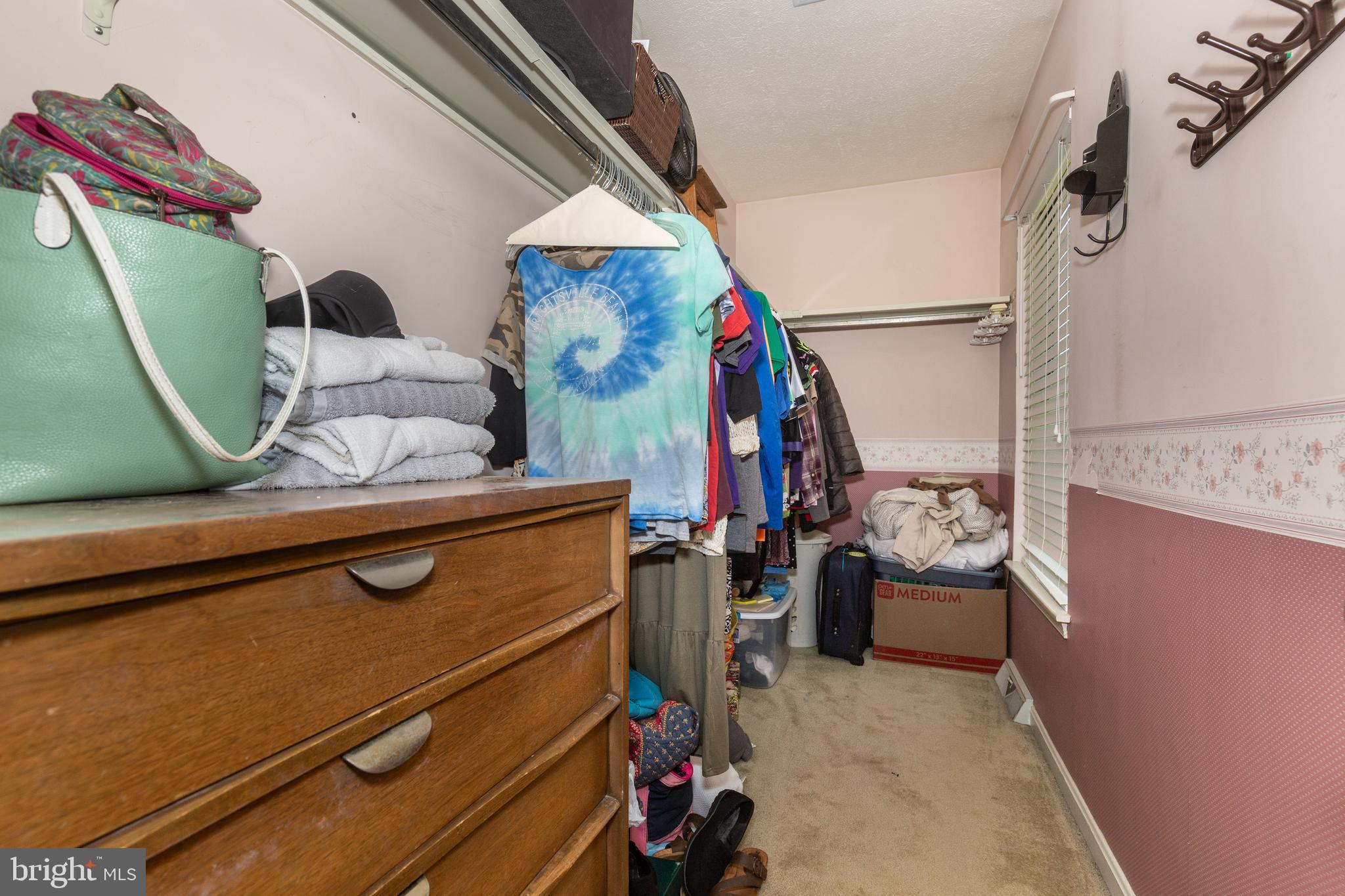 909 BLACK SPRUCE LANE