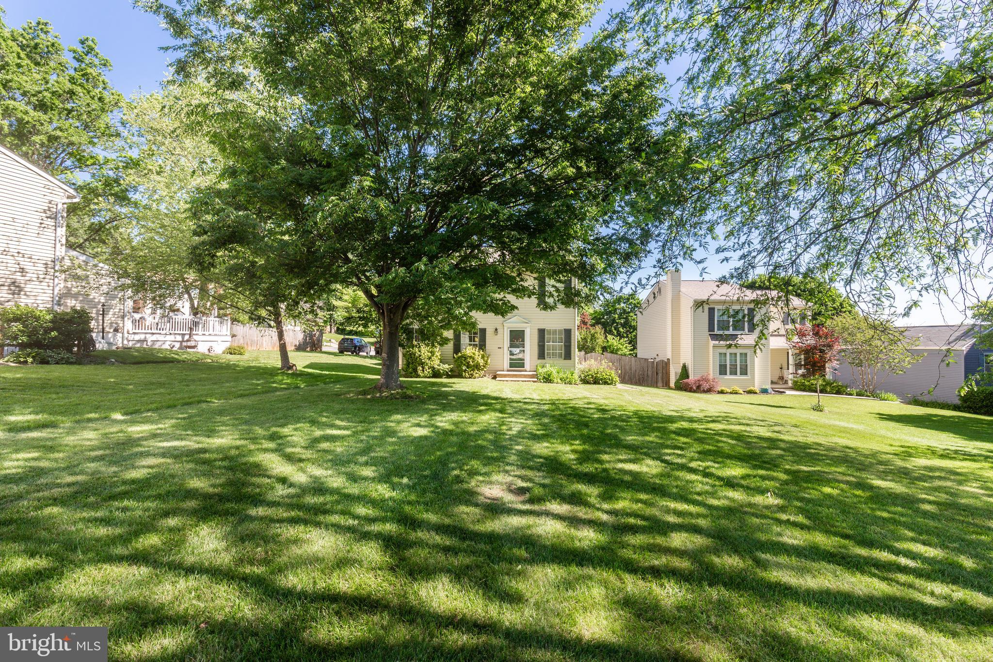 909 BLACK SPRUCE LANE