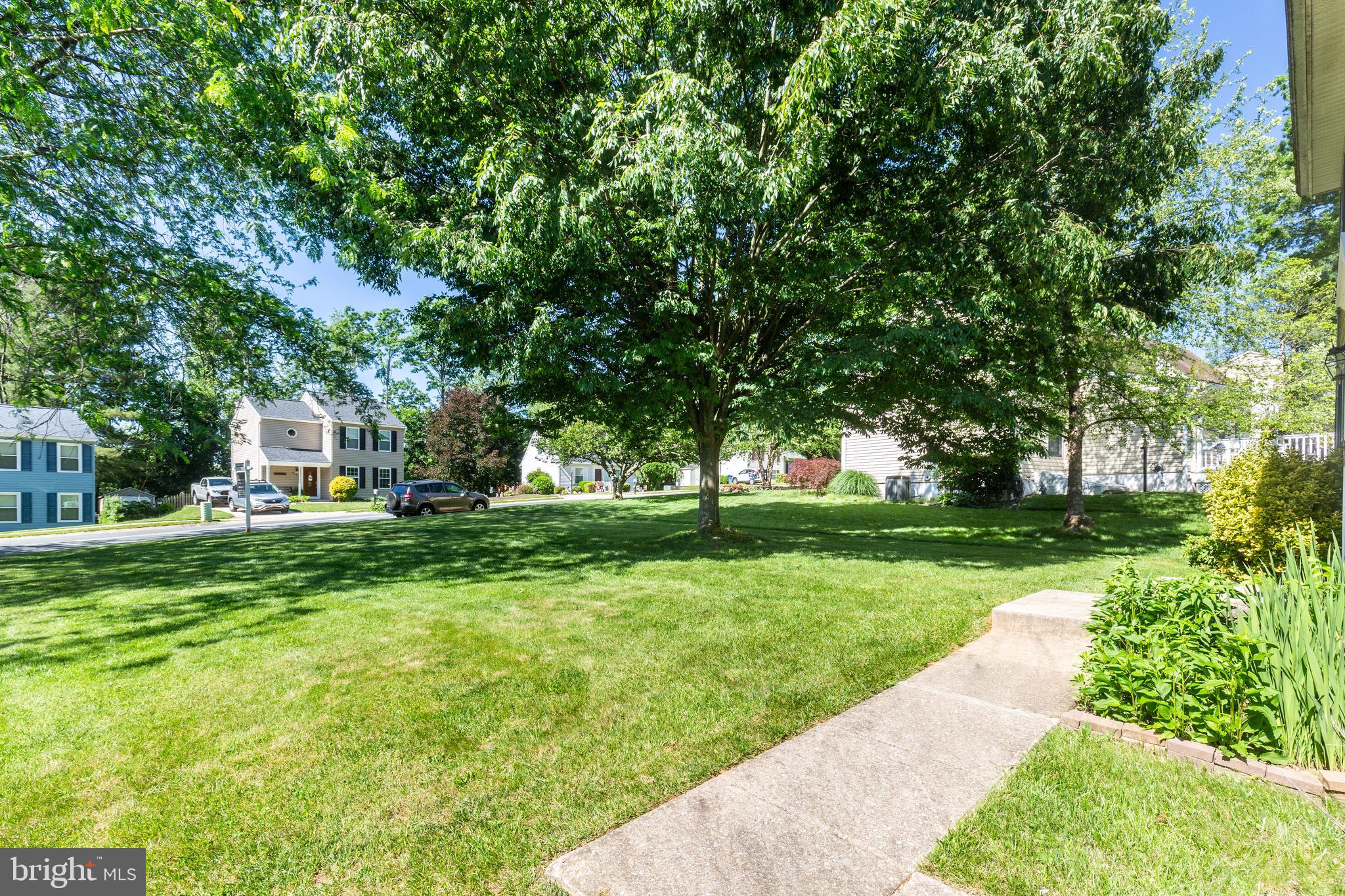 909 BLACK SPRUCE LANE