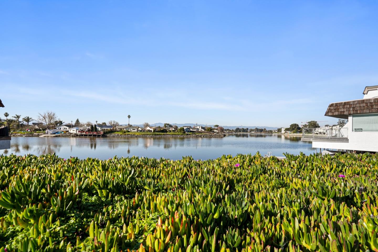 490 Mariners Island Boulevard #319