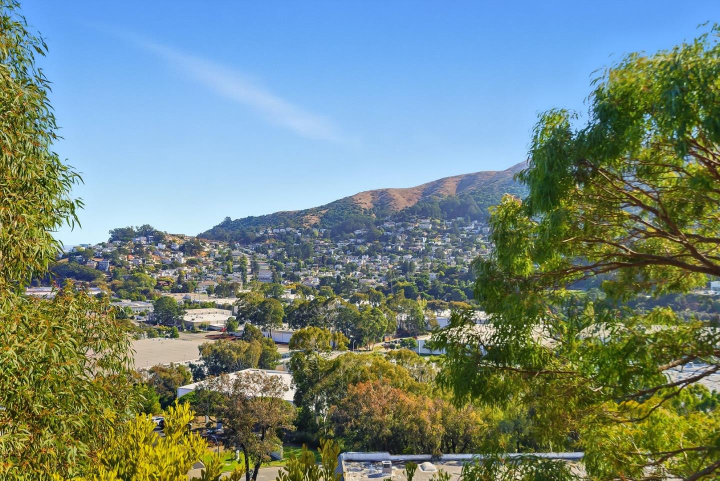 121 Cliff Swallow Court