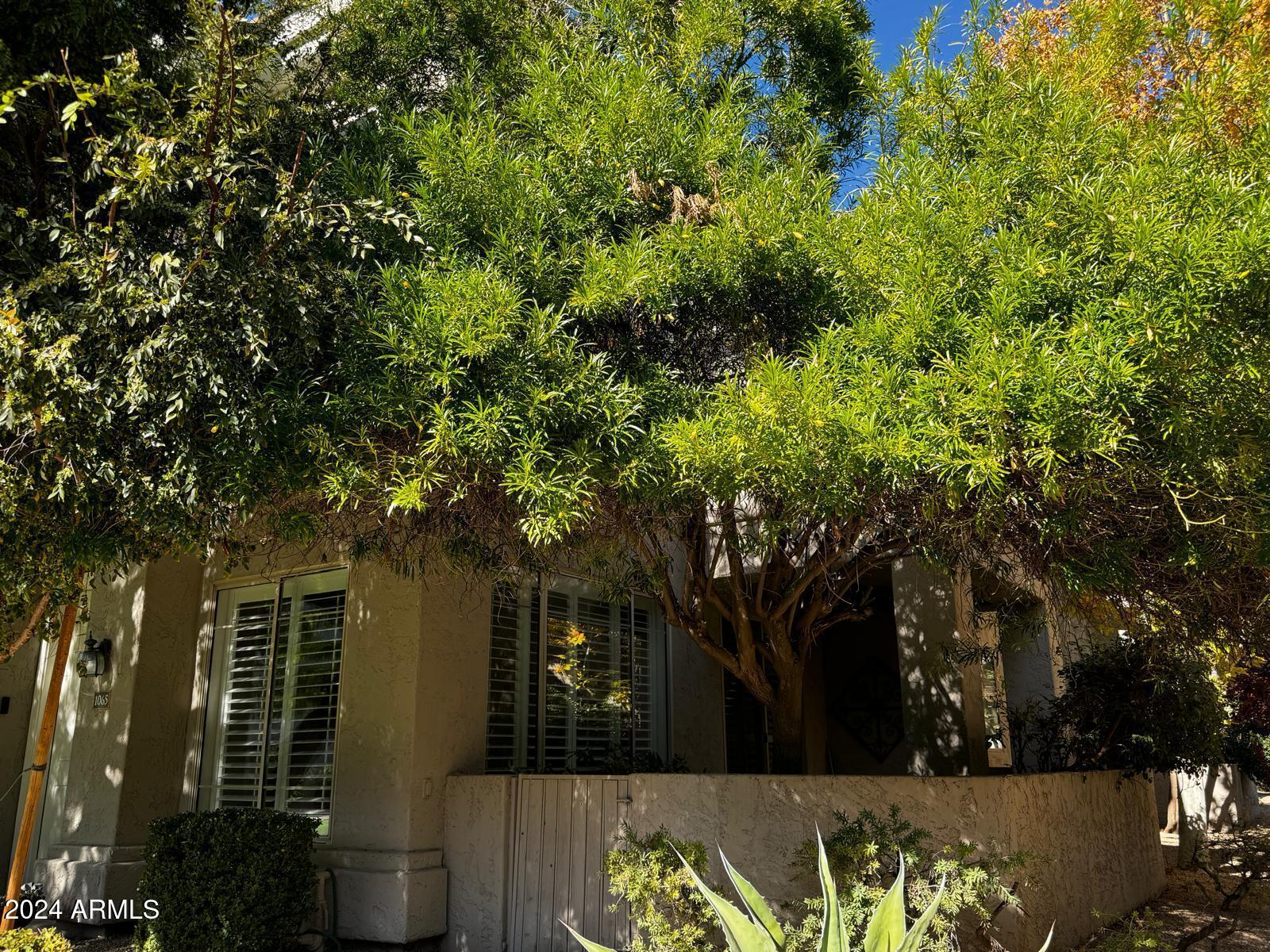 8180 E Shea Boulevard Unit 1065