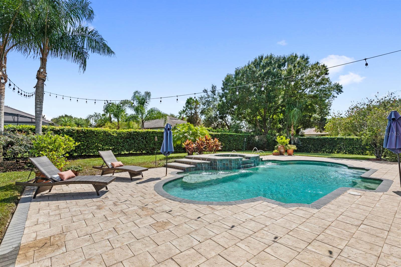 25542 HAWKS RUN LN