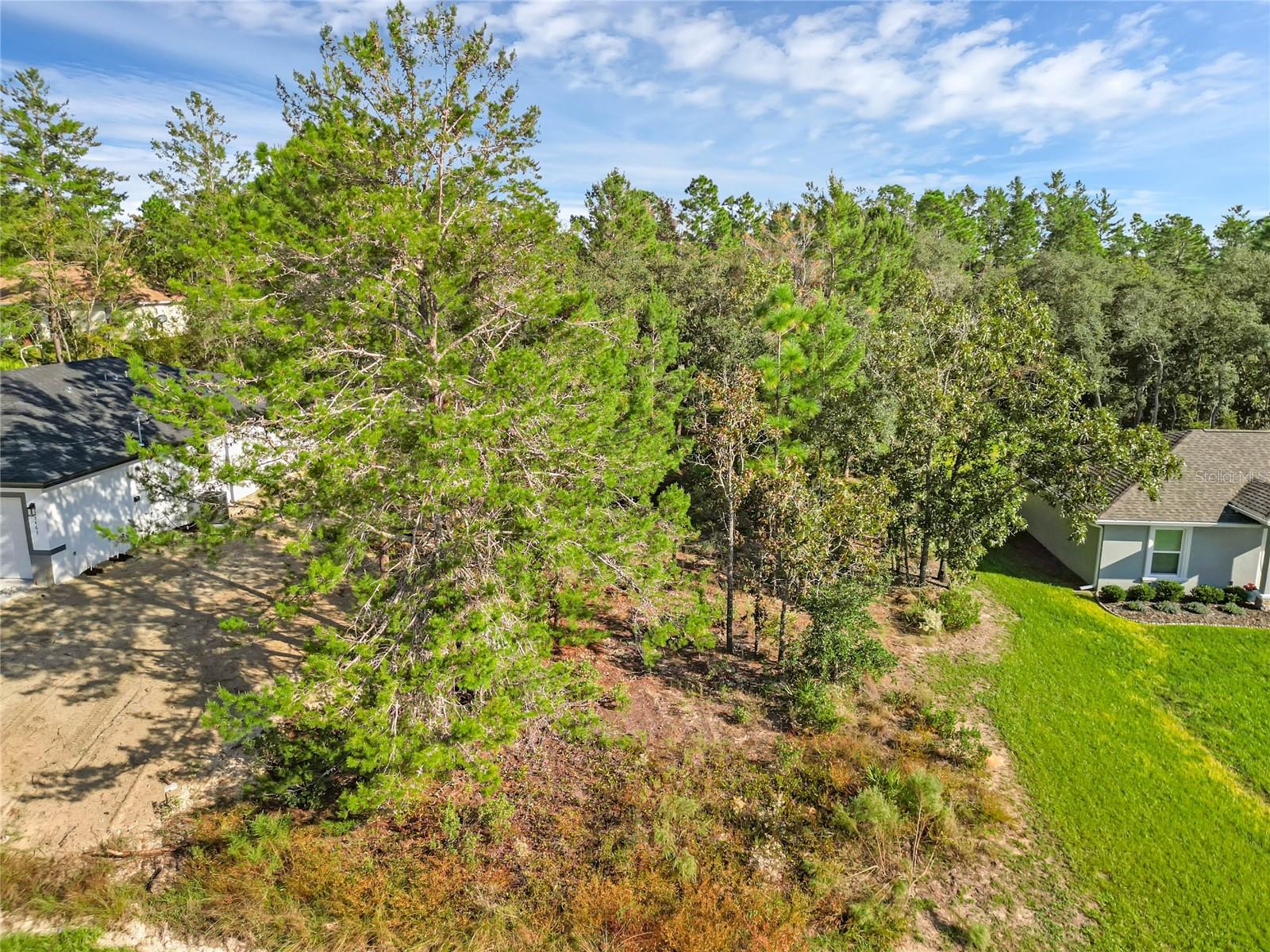3445 W SEAHORSE LN