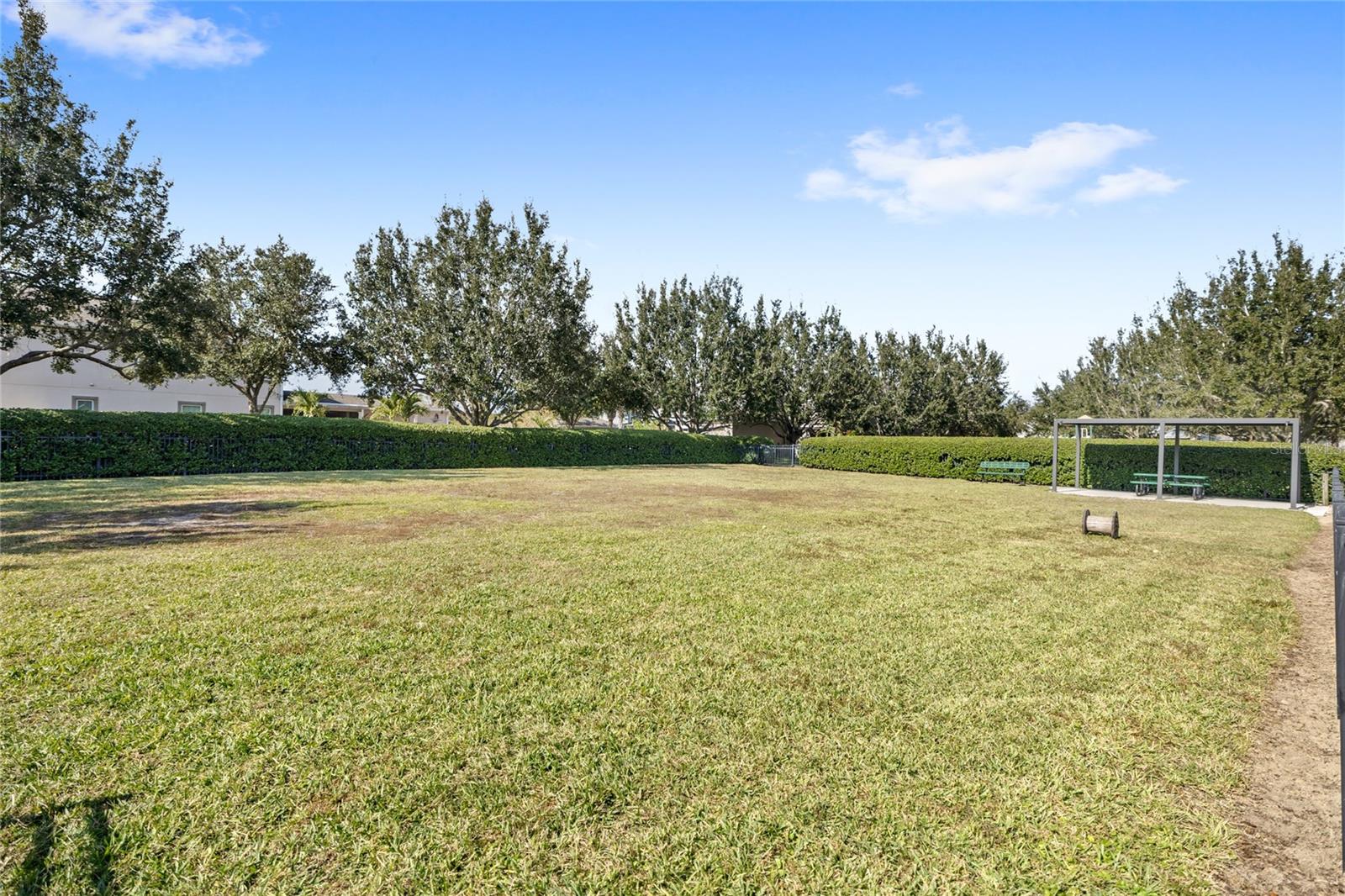 8007 NAVEL ORANGE LN
