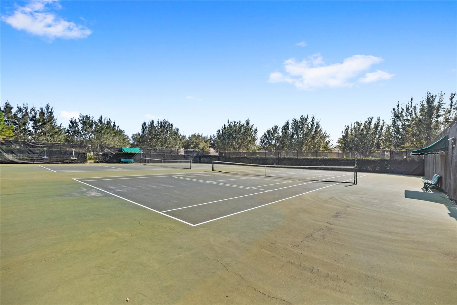 8007 NAVEL ORANGE LN