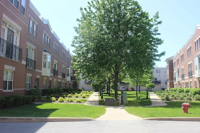 2417 N 75th Avenue Unit: D