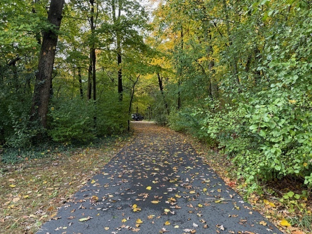 43W310 Hawkeye Drive