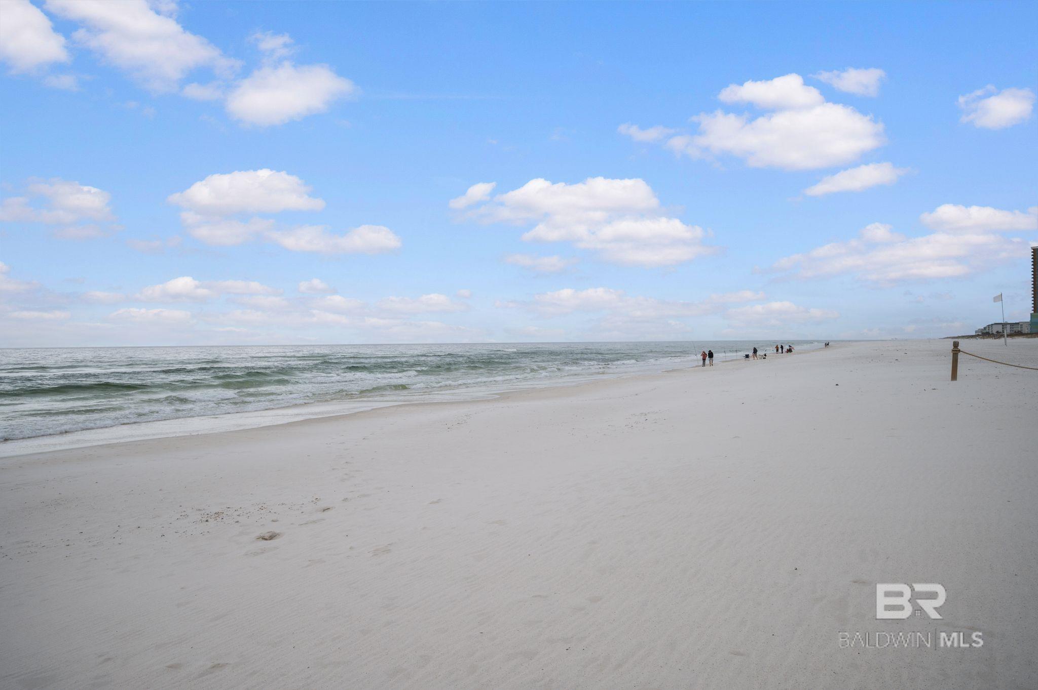 23450 Perdido Beach Boulevard 3008