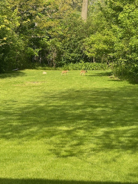 1489 N Sheridan Road