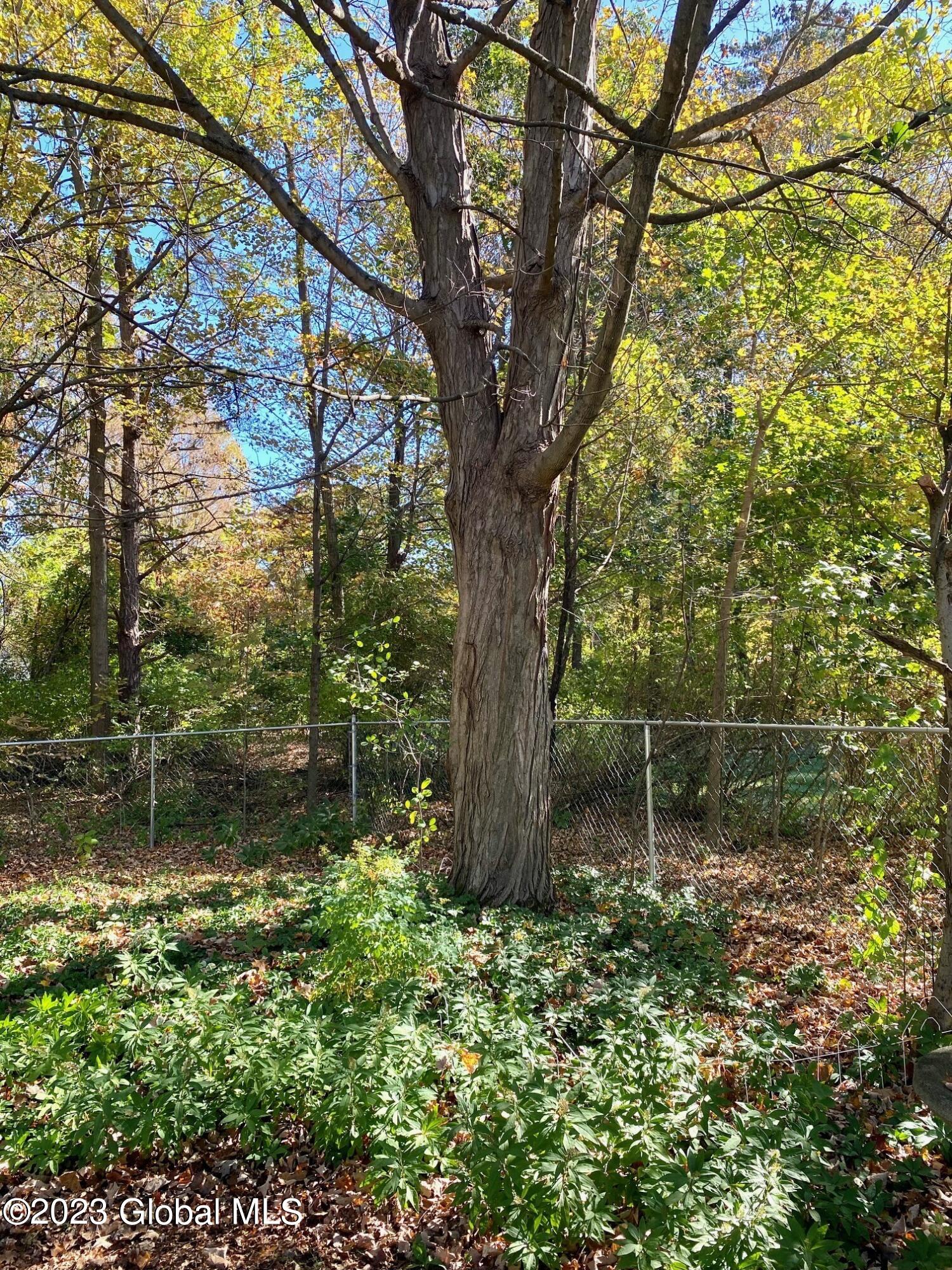 3 Oakwood Drive