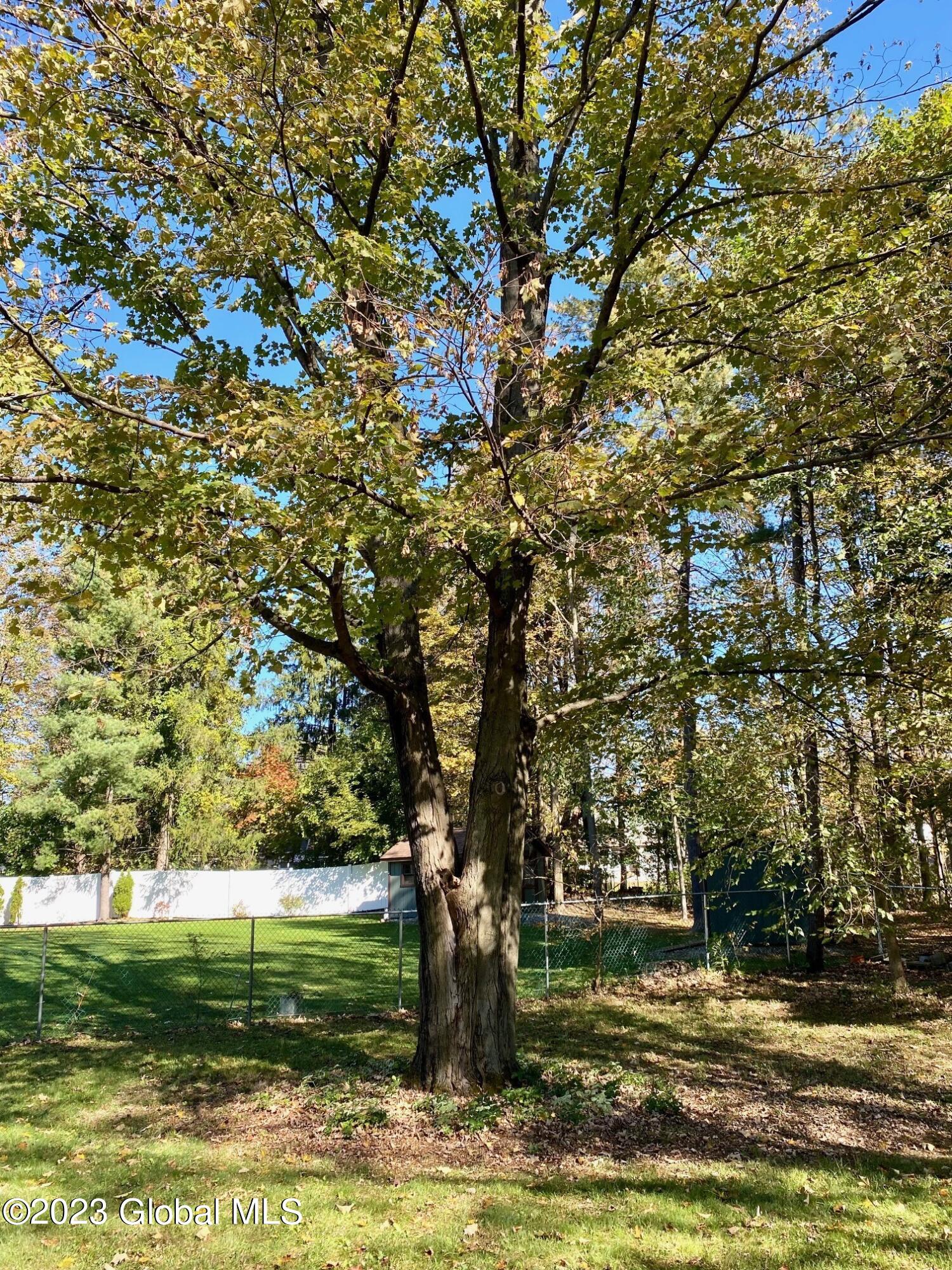 3 Oakwood Drive