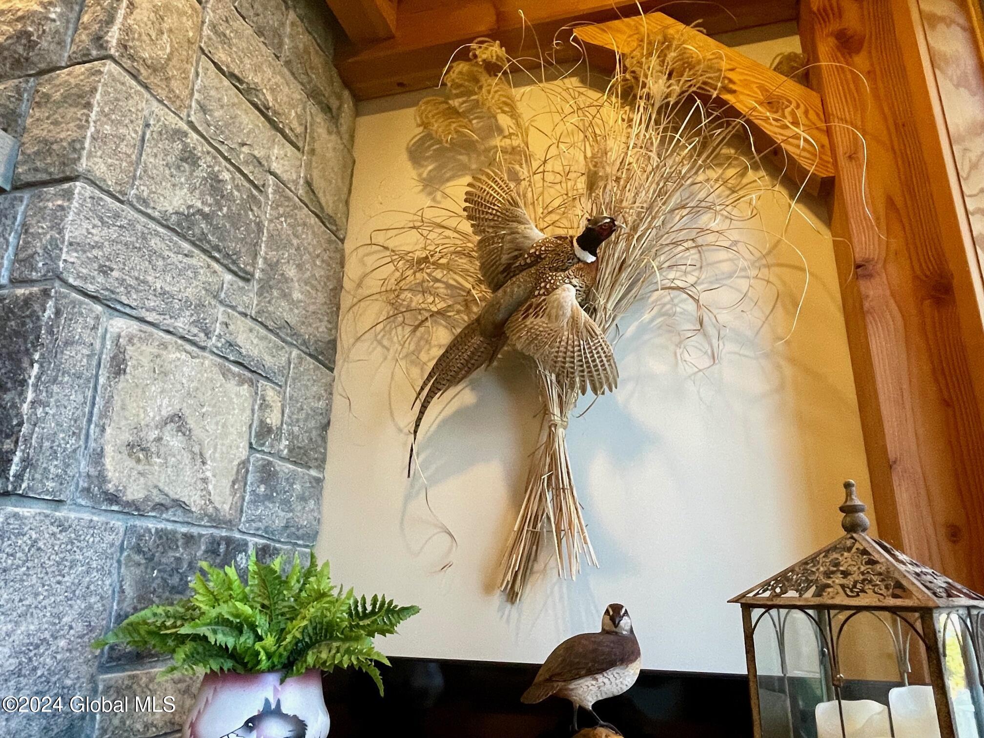 55 Indian Brook Drive