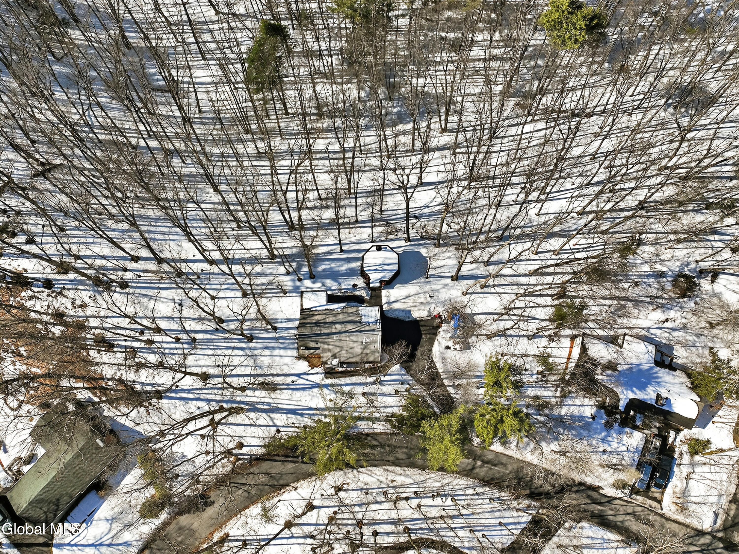 55 Country Colony Road