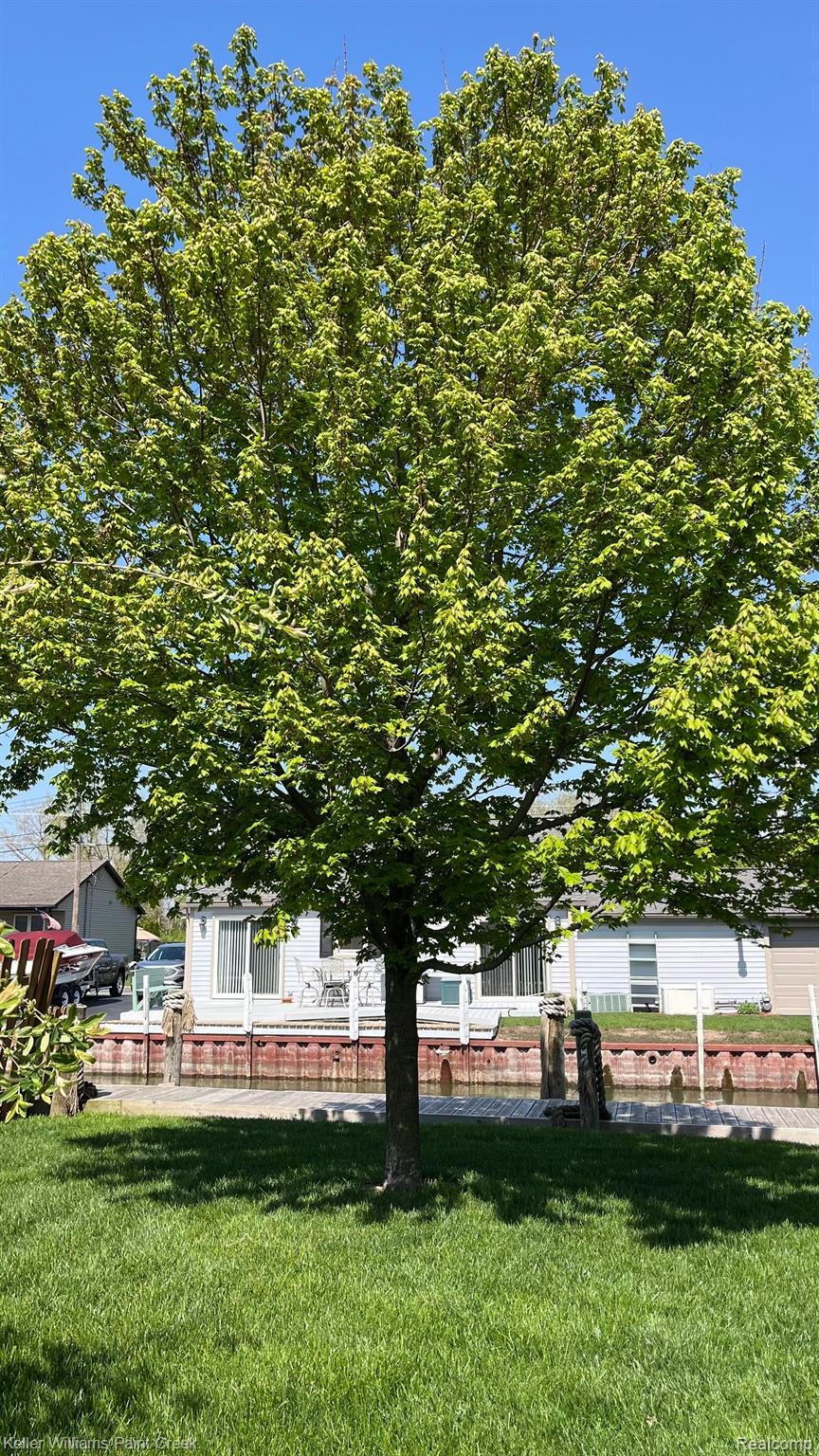 46669 ROSELANE Drive