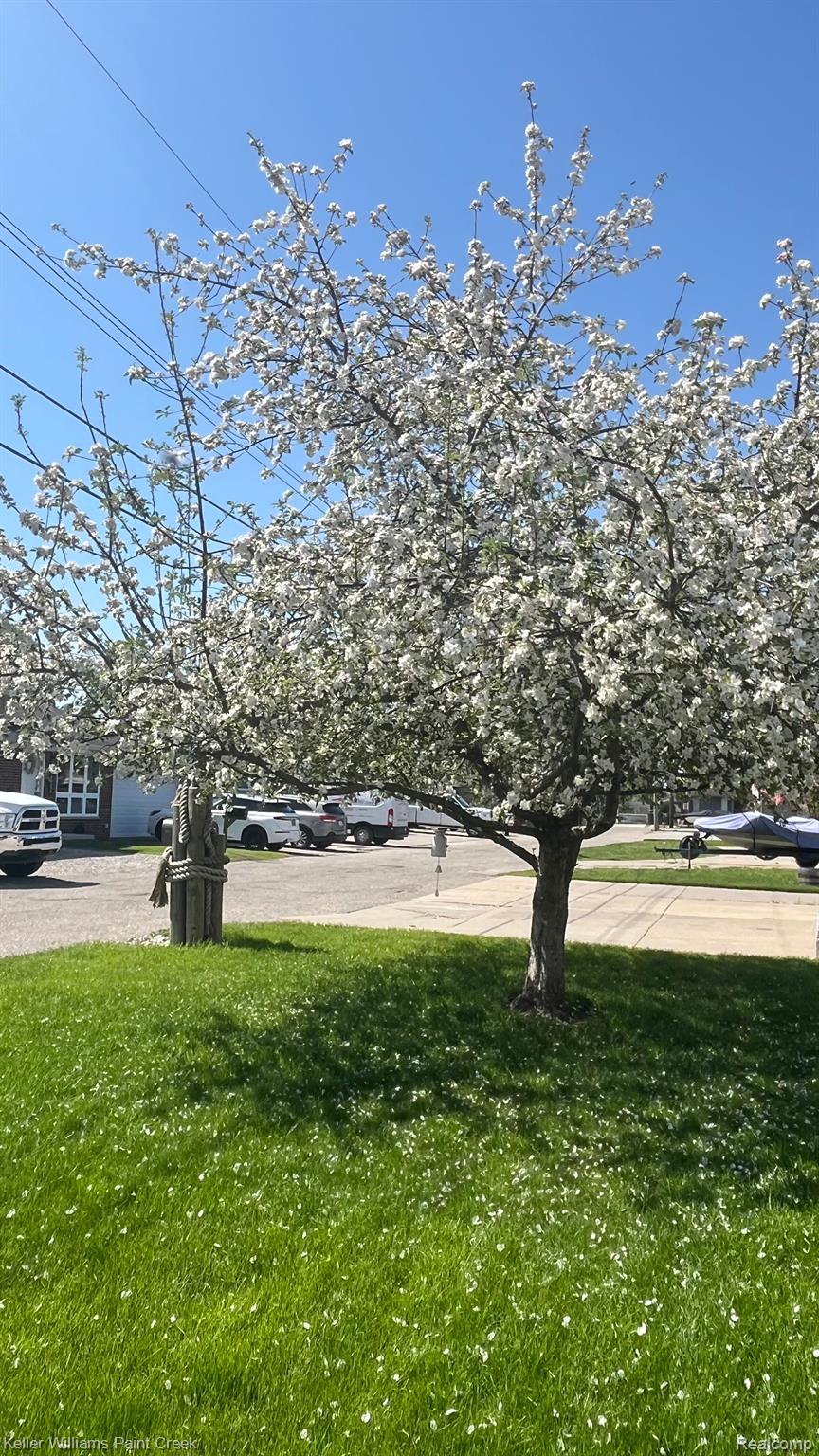 46669 ROSELANE Drive