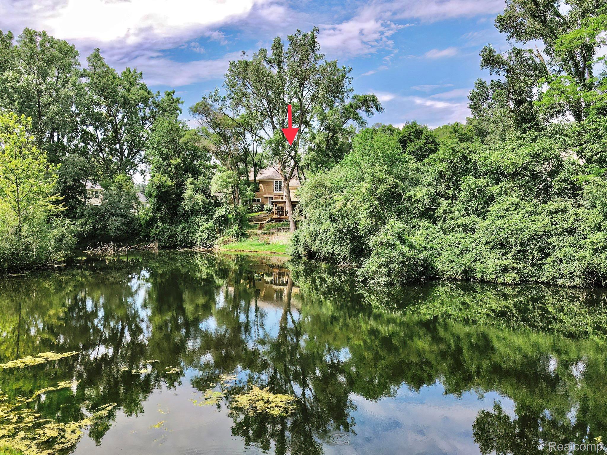 1123 Kings Cove Drive