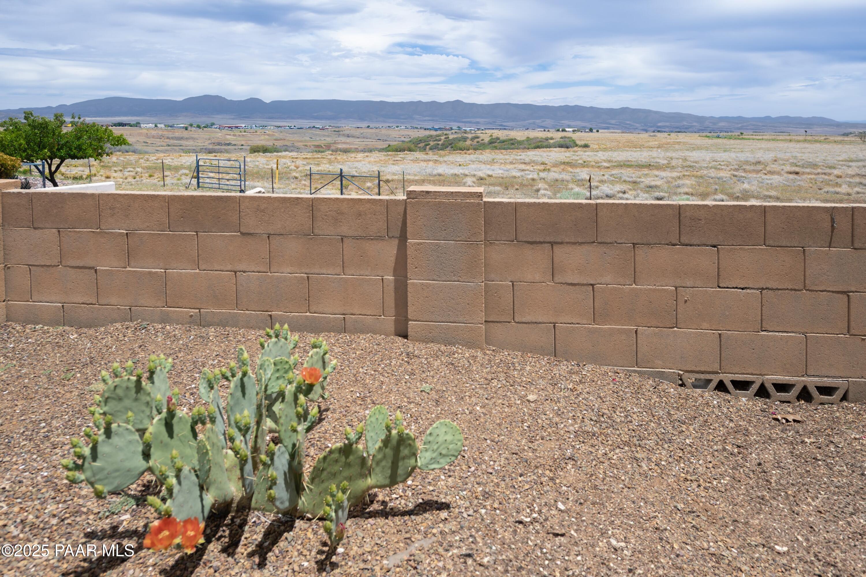 1891 N Tin Strap Trail