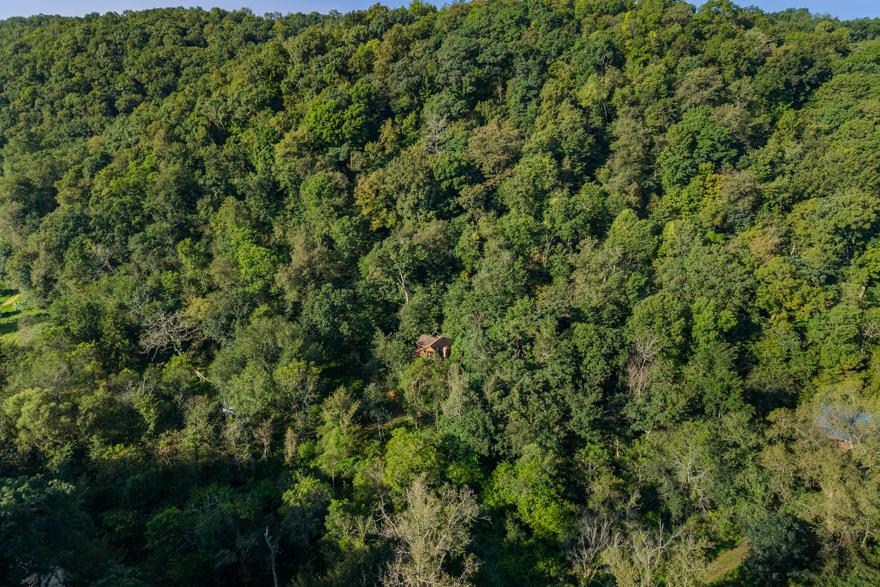 A small house sits amid dense woodland, seen from above.